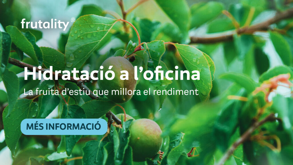 Hidratació a l’oficina: la fruita d’estiu que millora el rendiment