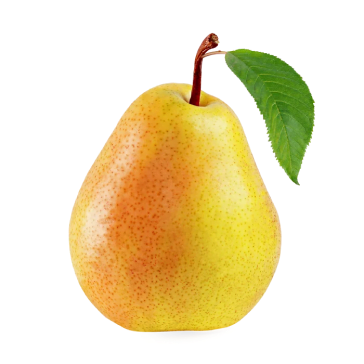 Pera Ercolina Frutality